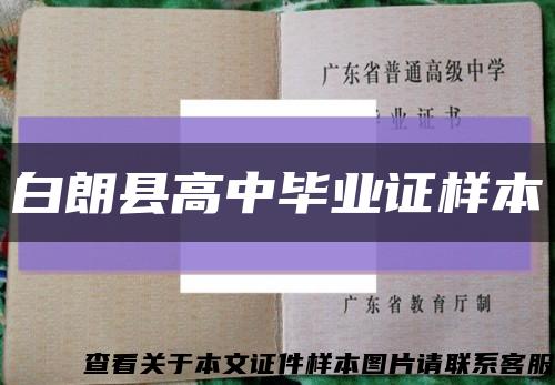 白朗县高中毕业证样本缩略图