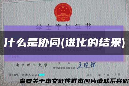 什么是协同(进化的结果)缩略图