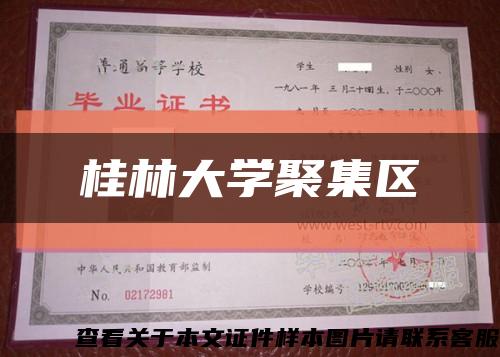 桂林大学聚集区缩略图