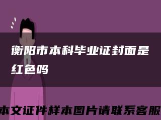 衡阳市本科毕业证封面是红色吗缩略图