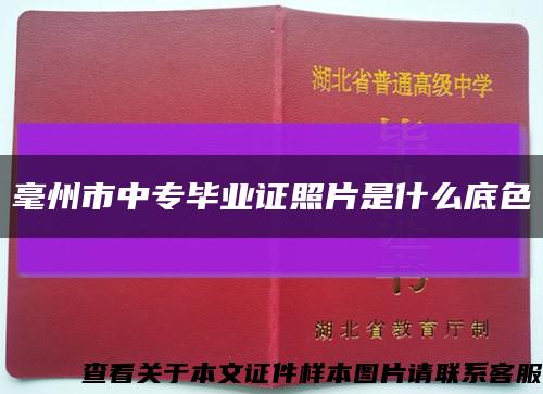 毫州市中专毕业证照片是什么底色缩略图