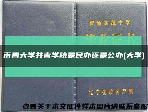 南昌大学共青学院是民办还是公办(大学)缩略图