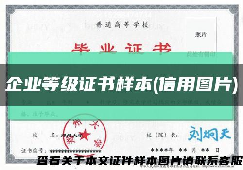 企业等级证书样本(信用图片)缩略图