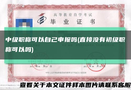 中级职称可以自己申报吗(直接没有初级职称可以吗)缩略图