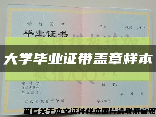 大学毕业证带盖章样本缩略图