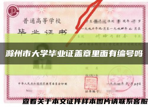 滁州市大学毕业证盖章里面有编号吗缩略图