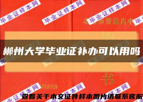 郴州大学毕业证补办可以用吗缩略图