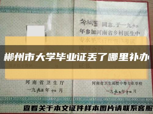 郴州市大学毕业证丢了哪里补办缩略图