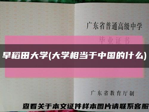 早稻田大学(大学相当于中国的什么)缩略图