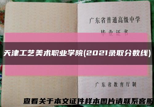 天津工艺美术职业学院(2021录取分数线)缩略图