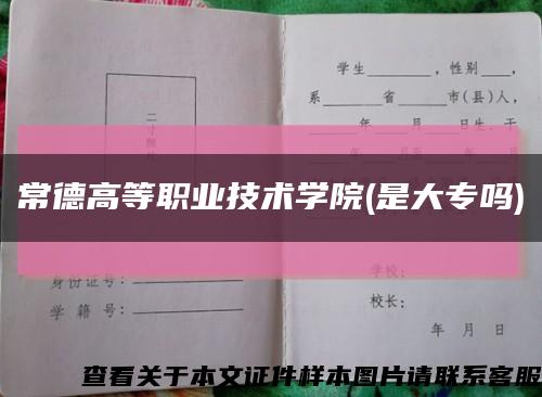 常德高等职业技术学院(是大专吗)缩略图