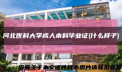 河北医科大学成人本科毕业证(什么样子)缩略图