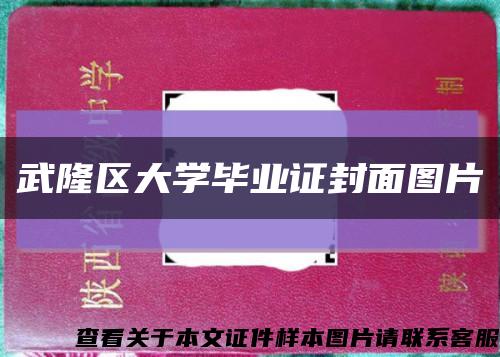 武隆区大学毕业证封面图片缩略图