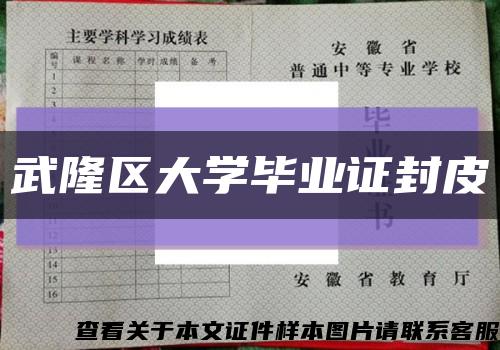 武隆区大学毕业证封皮缩略图