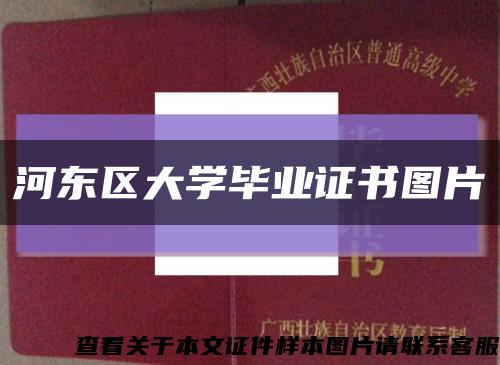 河东区大学毕业证书图片缩略图