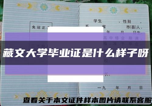 藏文大学毕业证是什么样子呀缩略图