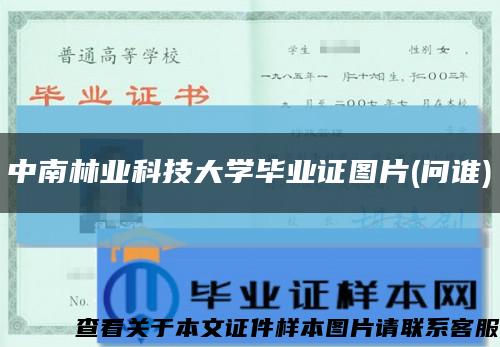 中南林业科技大学毕业证图片(问谁)缩略图