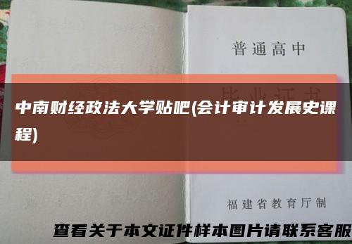 中南财经政法大学贴吧(会计审计发展史课程)缩略图