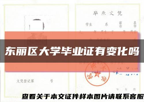 东丽区大学毕业证有变化吗缩略图