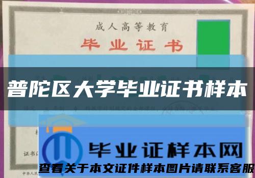 普陀区大学毕业证书样本缩略图