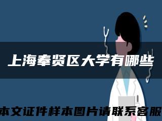 上海奉贤区大学有哪些缩略图