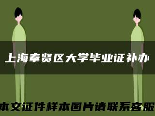 上海奉贤区大学毕业证补办缩略图