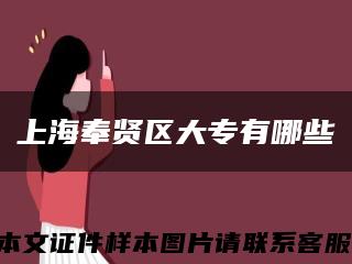 上海奉贤区大专有哪些缩略图