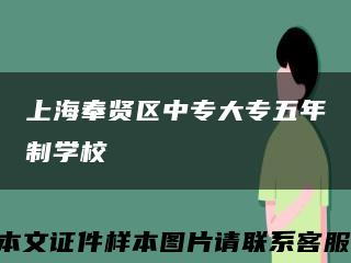 上海奉贤区中专大专五年制学校缩略图