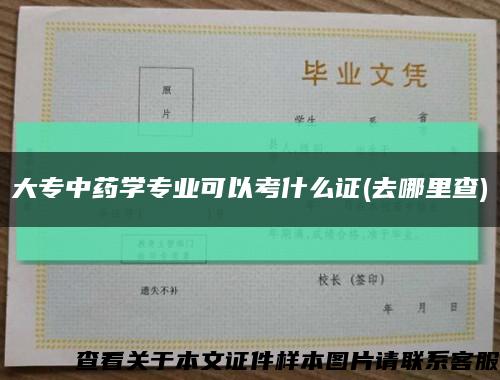 大专中药学专业可以考什么证(去哪里查)缩略图