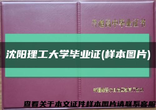 沈阳理工大学毕业证(样本图片)缩略图