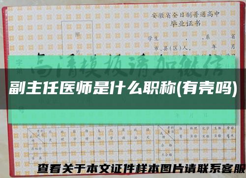 副主任医师是什么职称(有壳吗)缩略图