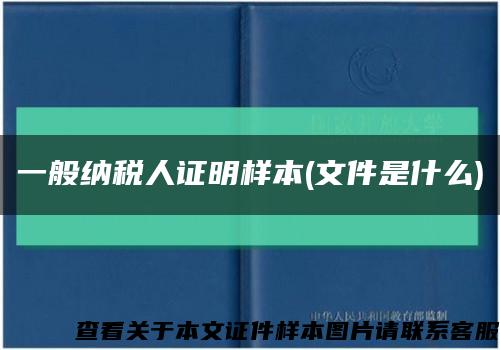 一般纳税人证明样本(文件是什么)缩略图