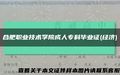 合肥职业技术学院成人专科毕业证(经济)缩略图