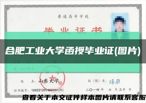 合肥工业大学函授毕业证(图片)缩略图