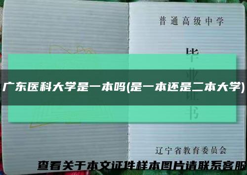 广东医科大学是一本吗(是一本还是二本大学)缩略图