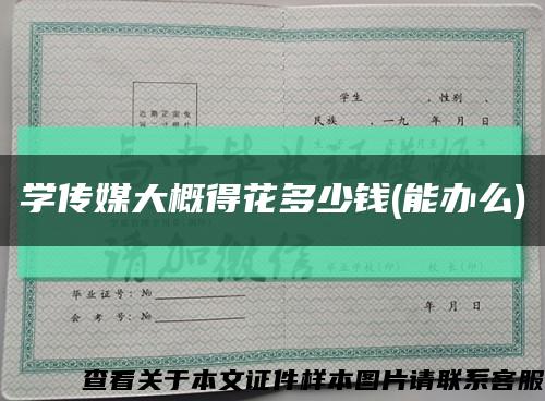 学传媒大概得花多少钱(能办么)缩略图