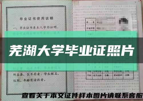 芜湖大学毕业证照片缩略图