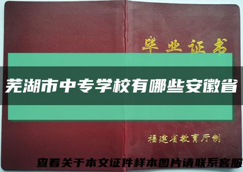 芜湖市中专学校有哪些安徽省缩略图