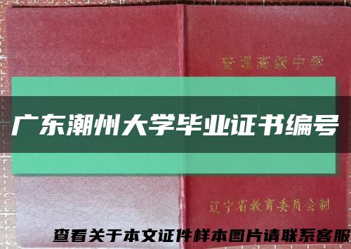 广东潮州大学毕业证书编号缩略图