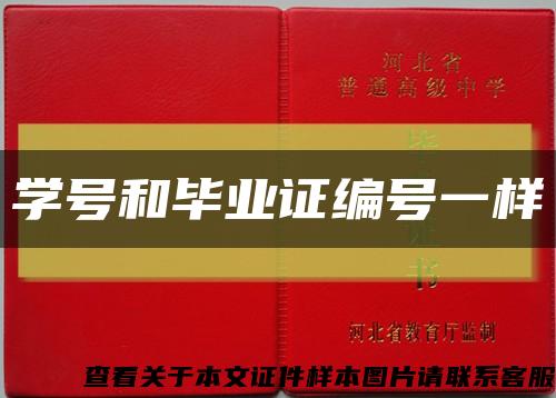 学号和毕业证编号一样缩略图