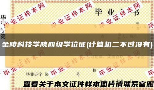 金陵科技学院四级学位证(计算机二不过没有)缩略图