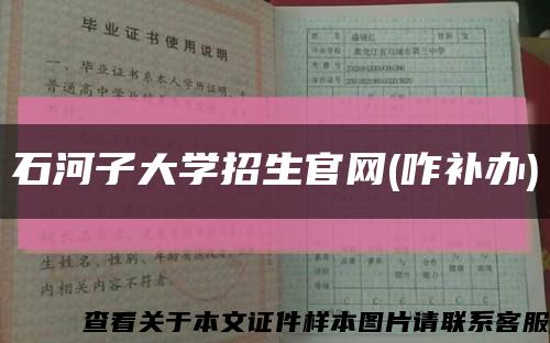 石河子大学招生官网(咋补办)缩略图