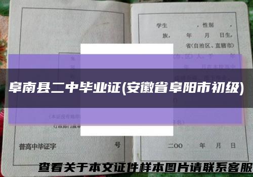 阜南县二中毕业证(安徽省阜阳市初级)缩略图