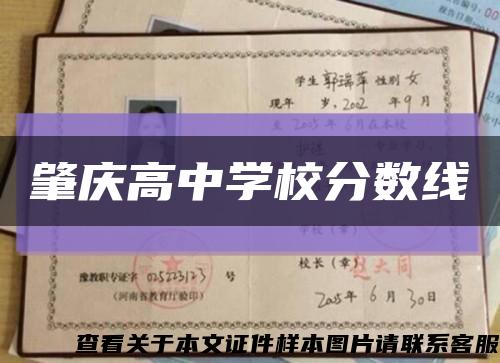 肇庆高中学校分数线缩略图