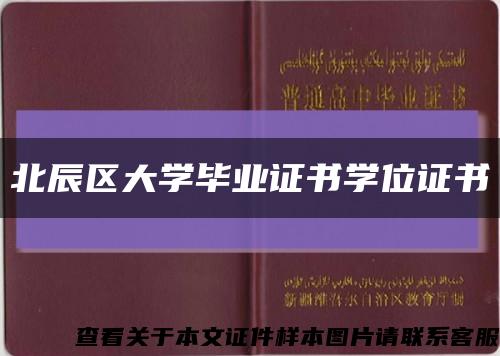 北辰区大学毕业证书学位证书缩略图