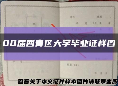 00届西青区大学毕业证样图缩略图