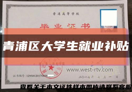 青浦区大学生就业补贴缩略图