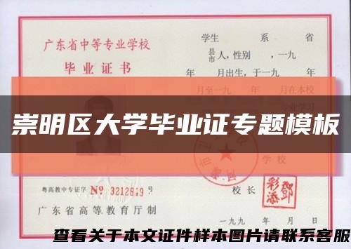 崇明区大学毕业证专题模板缩略图