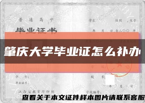 肇庆大学毕业证怎么补办缩略图