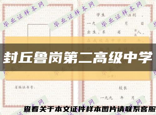 封丘鲁岗第二高级中学缩略图